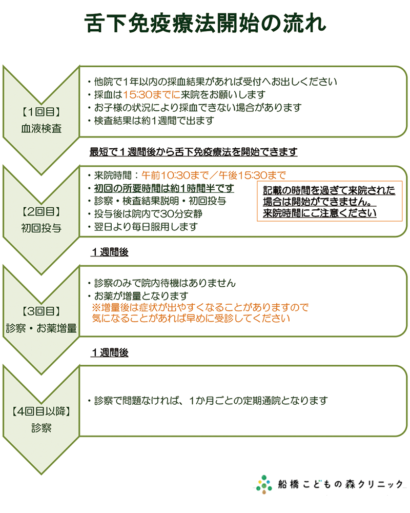 舌下免疫療法開始の流れ